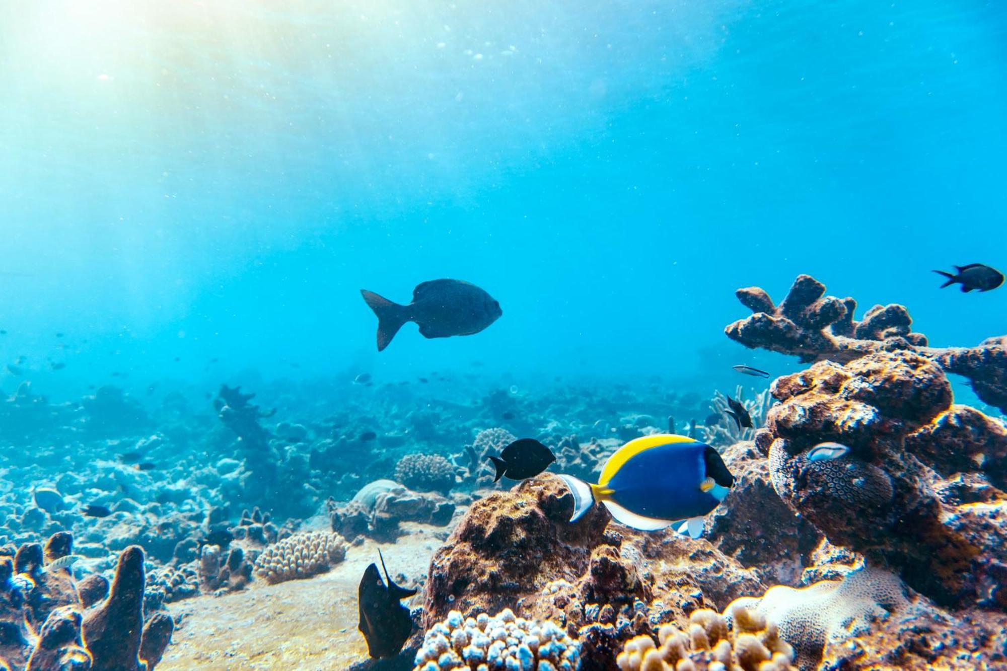 Crystal Sea Inn Bileffahi Luaran gambar